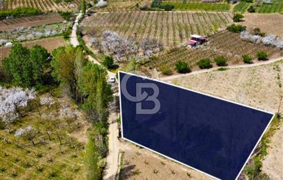 Çanakkale Lapseki Gazisüleymanpaşa Manzaralı 2.074m² Satılık Bağ