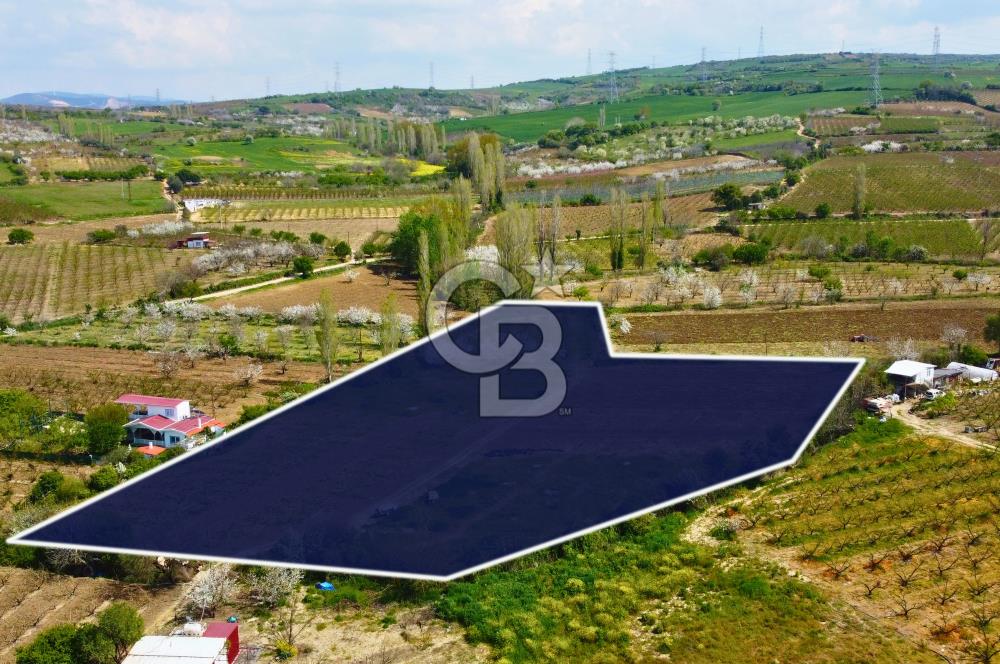 Çanakkale Lapseki Gazisüleymanpaşa Merkez'e Yakın Satılık Tarla