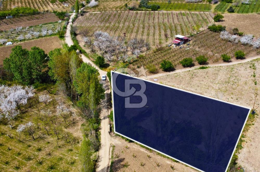 Çanakkale Lapseki Gazisüleymanpaşa Manzaralı 2.074m² Satılık Bağ