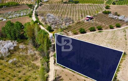 Çanakkale Lapseki Gazisüleymanpaşa Manzaralı 2.074m² Satılık Bağ