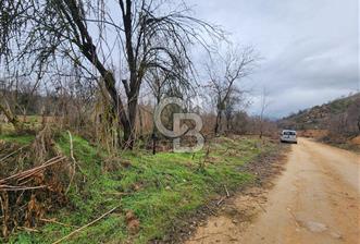 SAKARYA TARAKLI'DA 17.627M² SATILIK TARLA - 2 - 345654