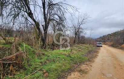 SAKARYA TARAKLI'DA 17.627M² SATILIK TARLA