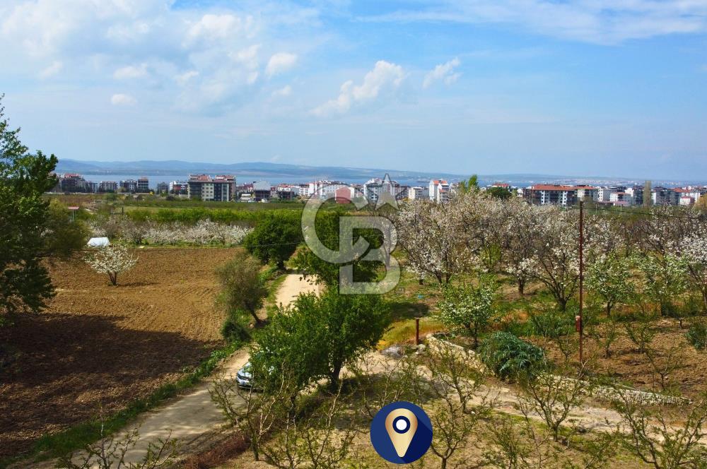 Çanakkale Lapseki Gazisüleymanpaşa Manzaralı 2.074m² Satılık Bağ
