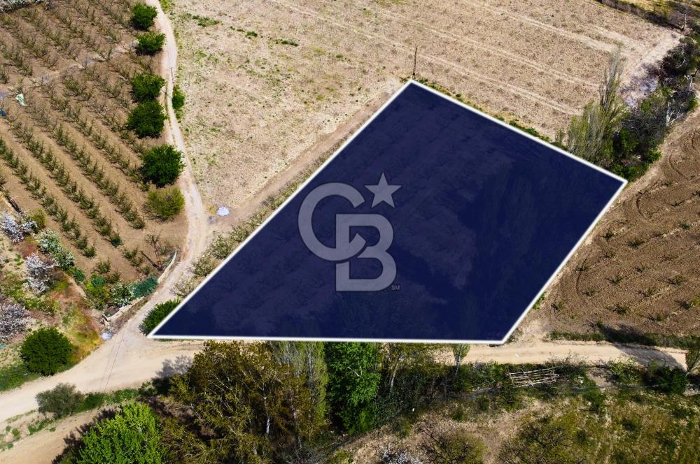 Çanakkale Lapseki Gazisüleymanpaşa Manzaralı 2.074m² Satılık Bağ