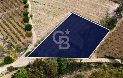 Çanakkale Lapseki Gazisüleymanpaşa Manzaralı 2.074m² Satılık Bağ