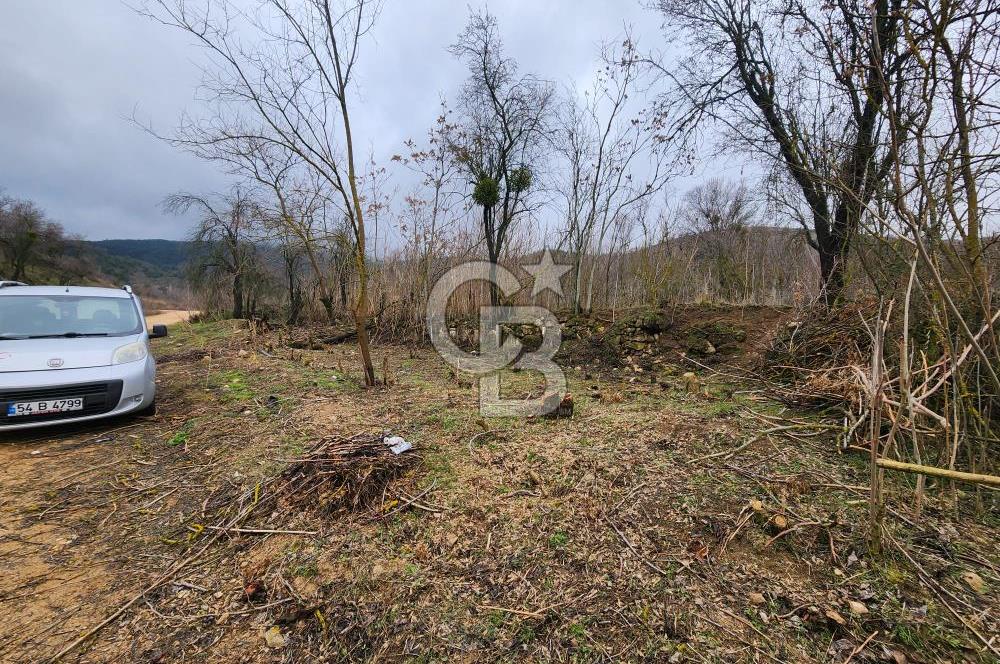 SAKARYA TARAKLI'DA 17.627M² SATILIK TARLA