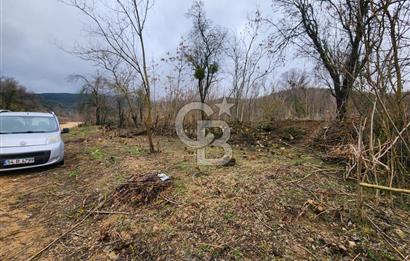 SAKARYA TARAKLI'DA 17.627M² SATILIK TARLA