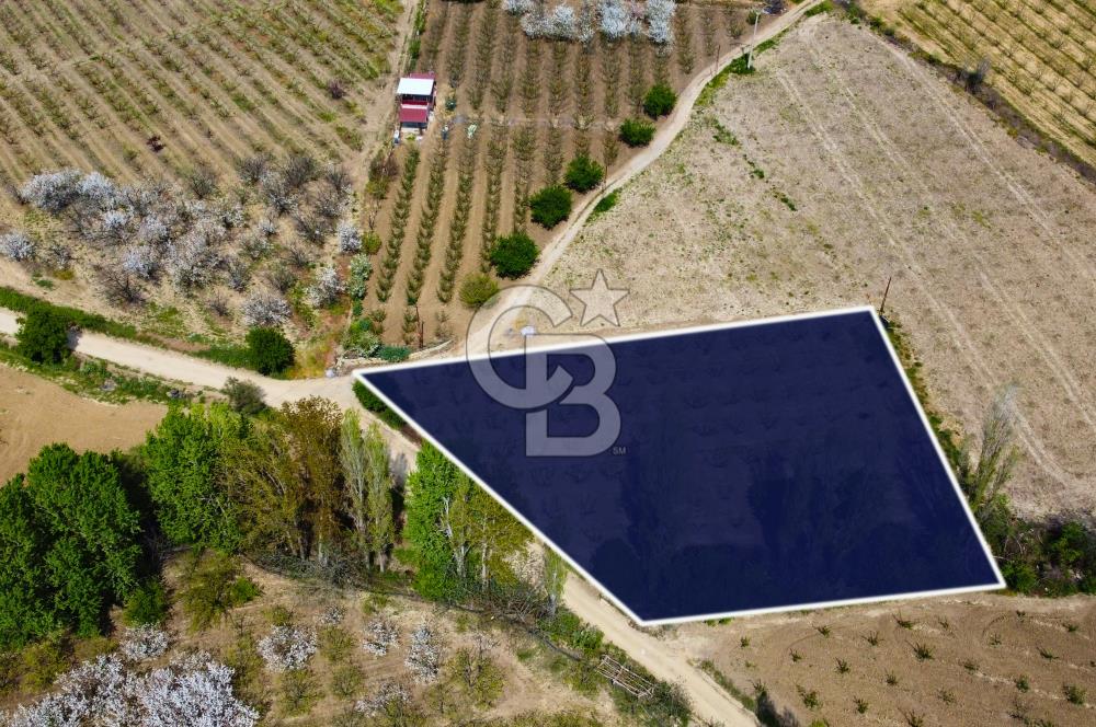 Çanakkale Lapseki Gazisüleymanpaşa Manzaralı 2.074m² Satılık Bağ