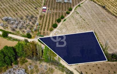 Çanakkale Lapseki Gazisüleymanpaşa Manzaralı 2.074m² Satılık Bağ