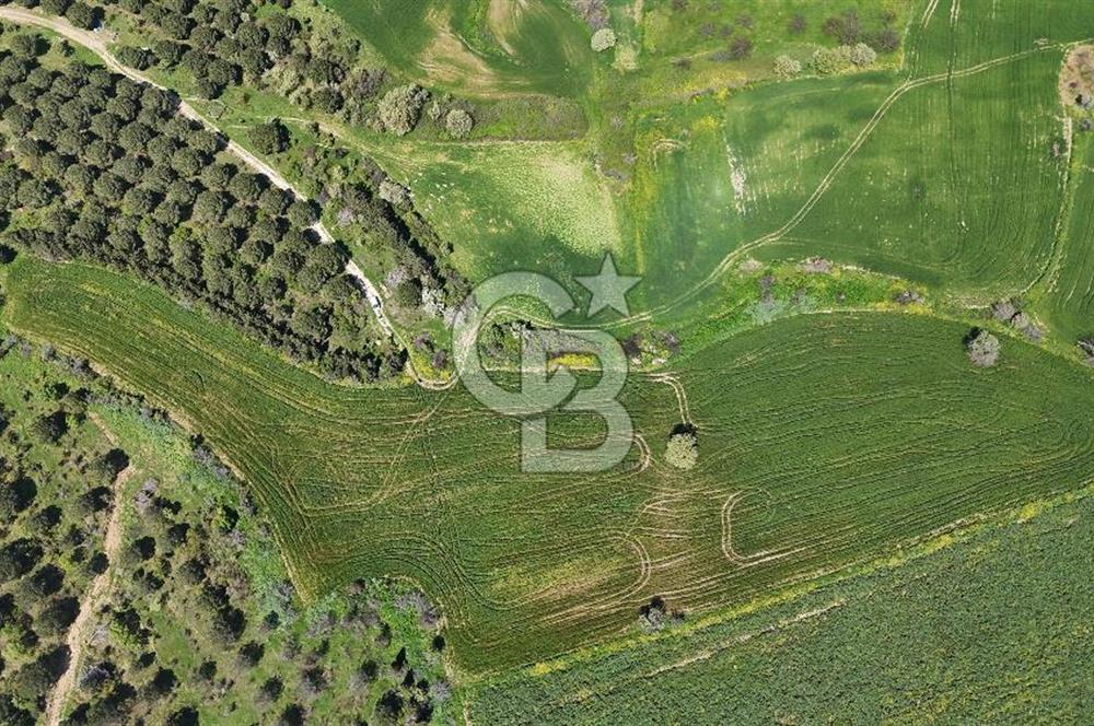 Çanakkale Merkez Özbek Köyü’nde Yatırımlık Arazi Kooperatifi! OSB’ye Yakın – Sınırlı Kontenjan (17 Kişi)