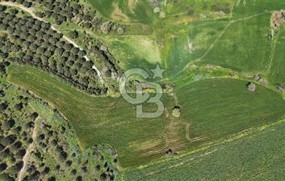 Çanakkale Merkez Özbek Köyü’nde Yatırımlık Arazi Kooperatifi! OSB’ye Yakın – Sınırlı Kontenjan (17 Kişi)