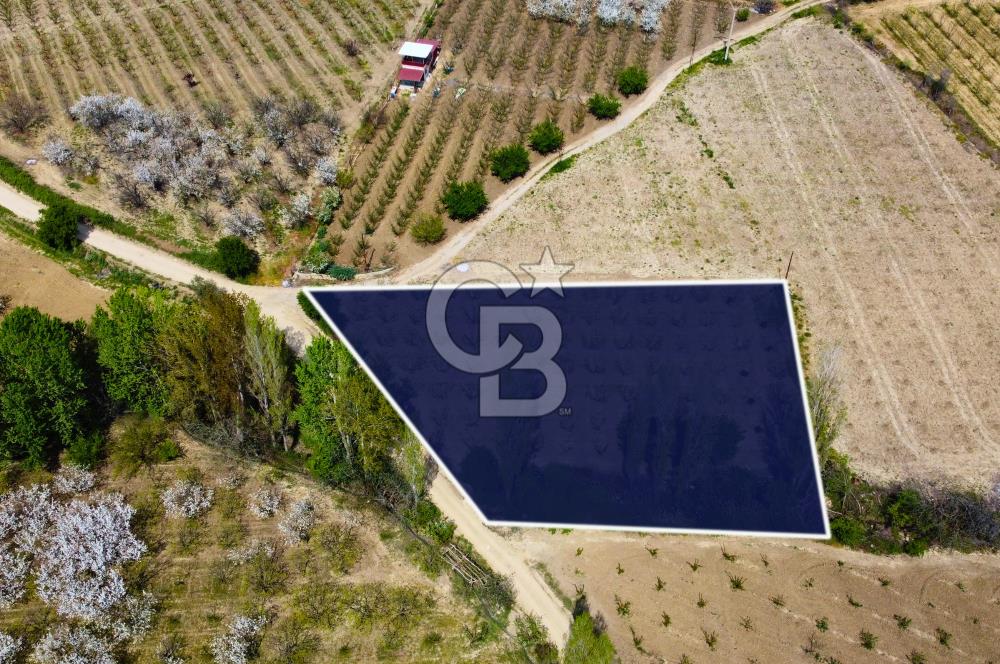 Çanakkale Lapseki Gazisüleymanpaşa Manzaralı 2.074m² Satılık Bağ