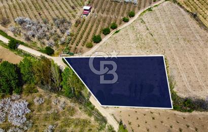 Çanakkale Lapseki Gazisüleymanpaşa Manzaralı 2.074m² Satılık Bağ