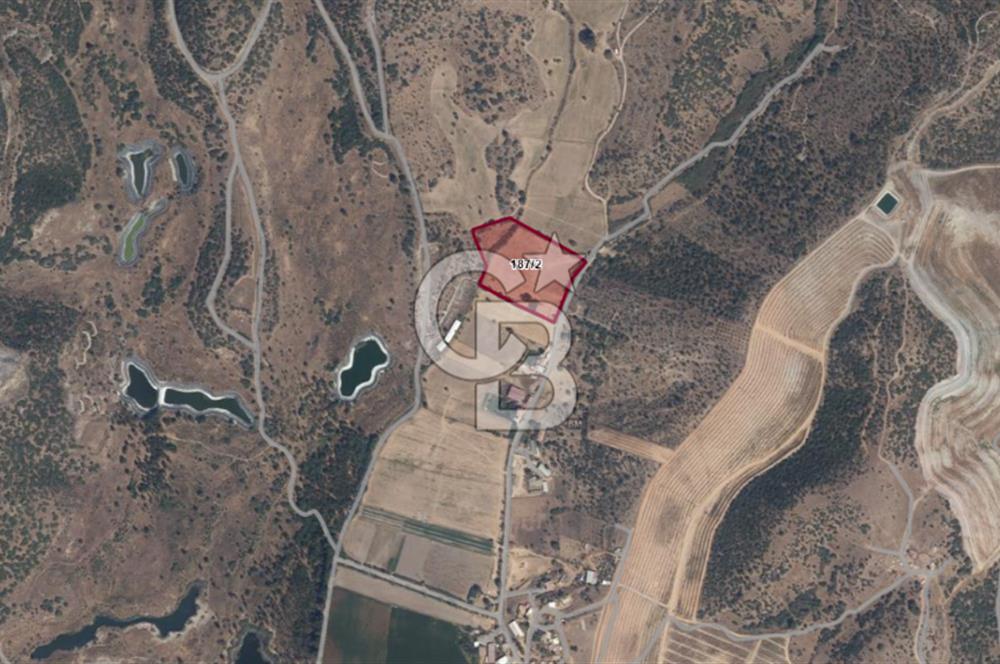 Milas Dörttepe Mevkiinde Yatırımlık Satılık Tarla