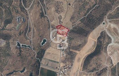 Milas Dörttepe Mevkiinde Yatırımlık Satılık Tarla