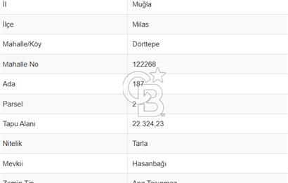 Milas Dörttepe Mevkiinde Yatırımlık Satılık Tarla