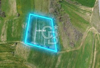 SİPAHİLER'DE HEM DOĞA HEM ULAŞIMIN MERKEZİNDE ARSA. - 10 - 345659