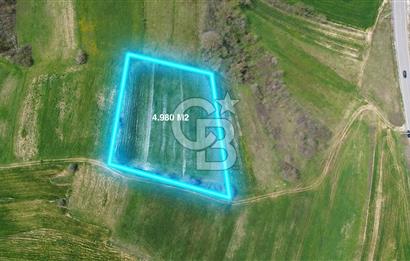 SİPAHİLER'DE HEM DOĞA HEM ULAŞIMIN MERKEZİNDE ARSA.