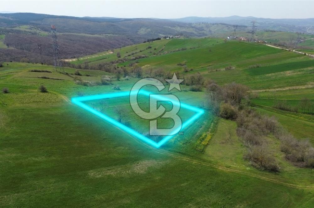 SİPAHİLER'DE HEM DOĞA HEM ULAŞIMIN MERKEZİNDE ARSA.