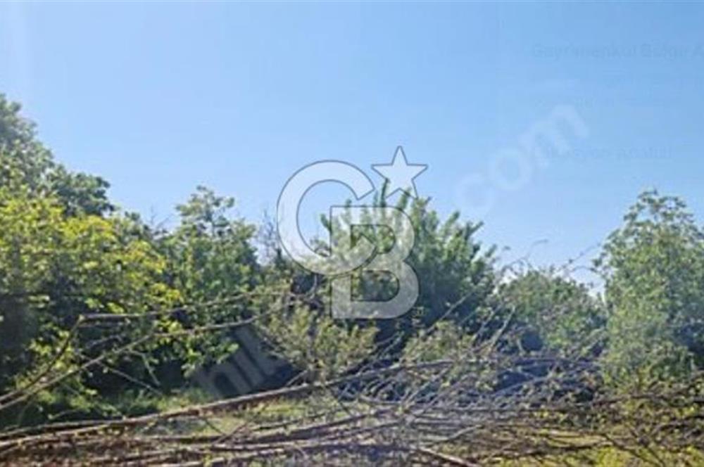 Yatırımlık Sanayi Arsası Dolayoba 