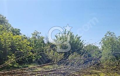 Yatırımlık Sanayi Arsası Dolayoba 