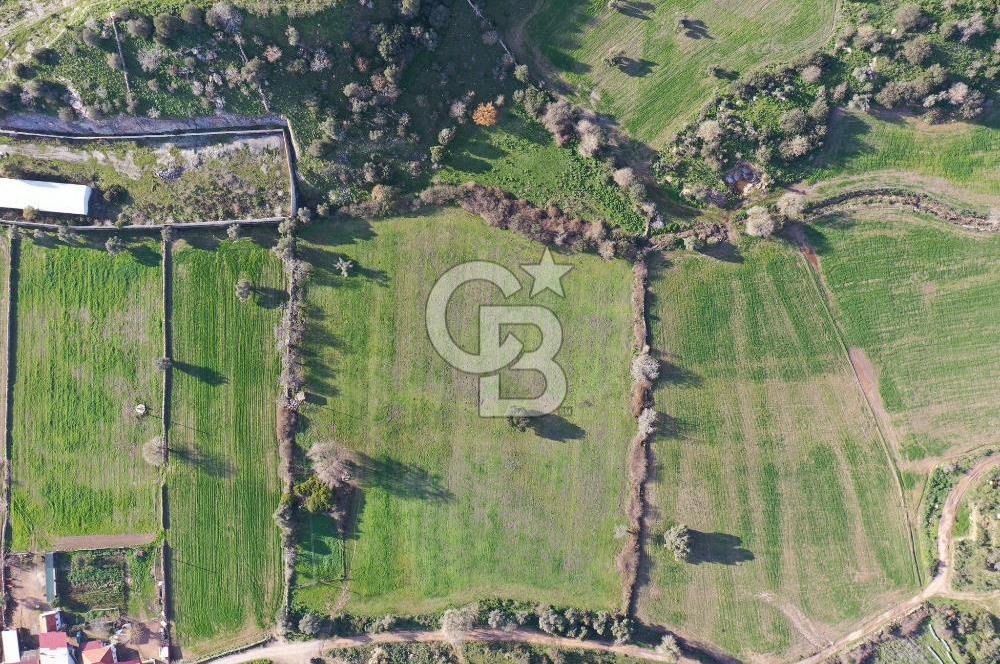 Milas Dörttepe Mevkiinde Yatırımlık Satılık Tarla