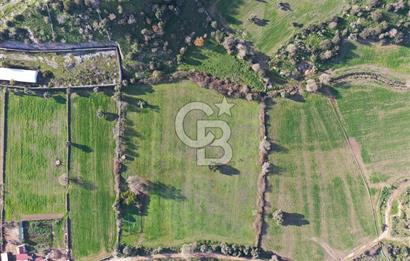 Milas Dörttepe Mevkiinde Yatırımlık Satılık Tarla