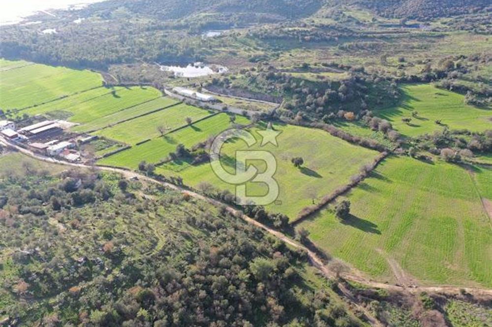 Milas Dörttepe Mevkiinde Yatırımlık Satılık Tarla
