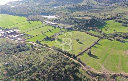 Milas Dörttepe Mevkiinde Yatırımlık Satılık Tarla