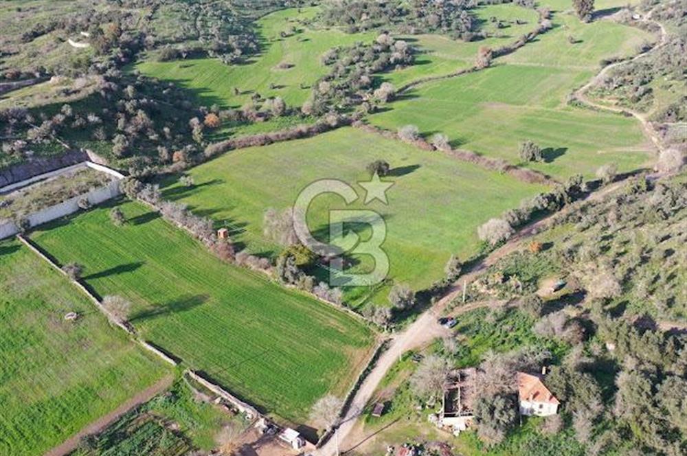 Milas Dörttepe Mevkiinde Yatırımlık Satılık Tarla