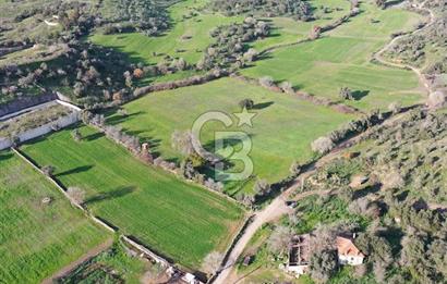 Milas Dörttepe Mevkiinde Yatırımlık Satılık Tarla