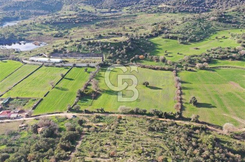 Milas Dörttepe Mevkiinde Yatırımlık Satılık Tarla