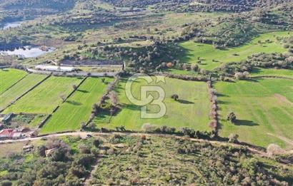 Milas Dörttepe Mevkiinde Yatırımlık Satılık Tarla