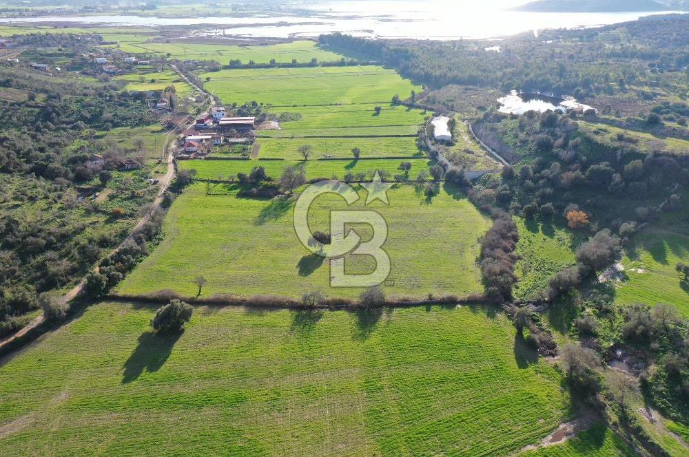 Milas Dörttepe Mevkiinde Yatırımlık Satılık Tarla