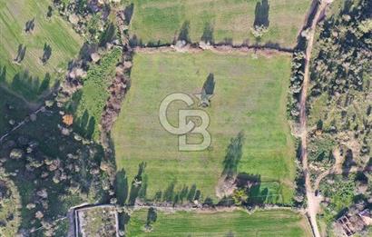 Milas Dörttepe Mevkiinde Yatırımlık Satılık Tarla