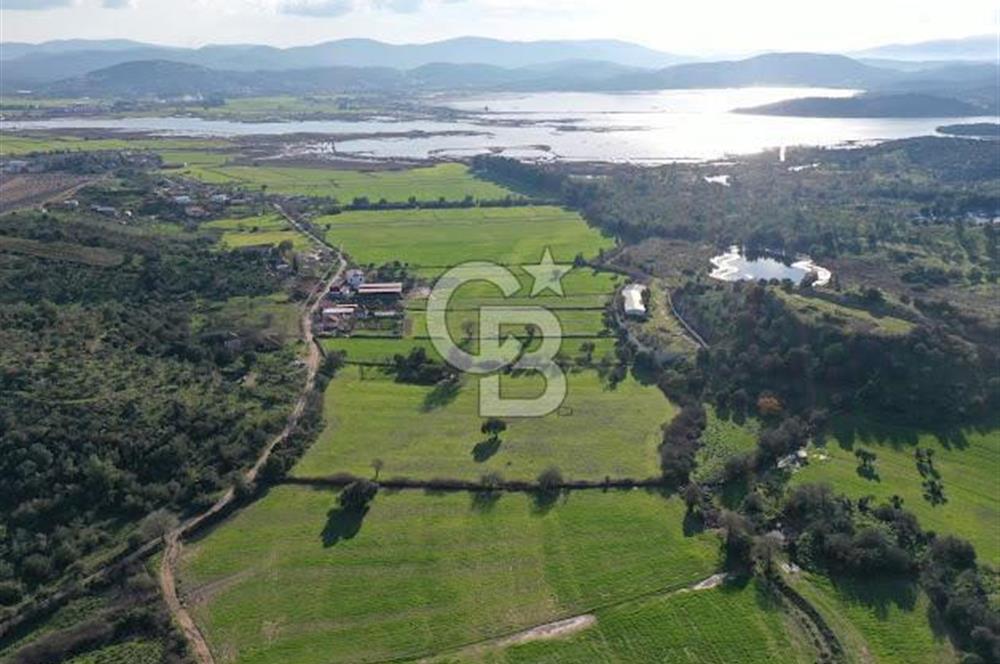 Milas Dörttepe Mevkiinde Yatırımlık Satılık Tarla