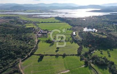 Milas Dörttepe Mevkiinde Yatırımlık Satılık Tarla