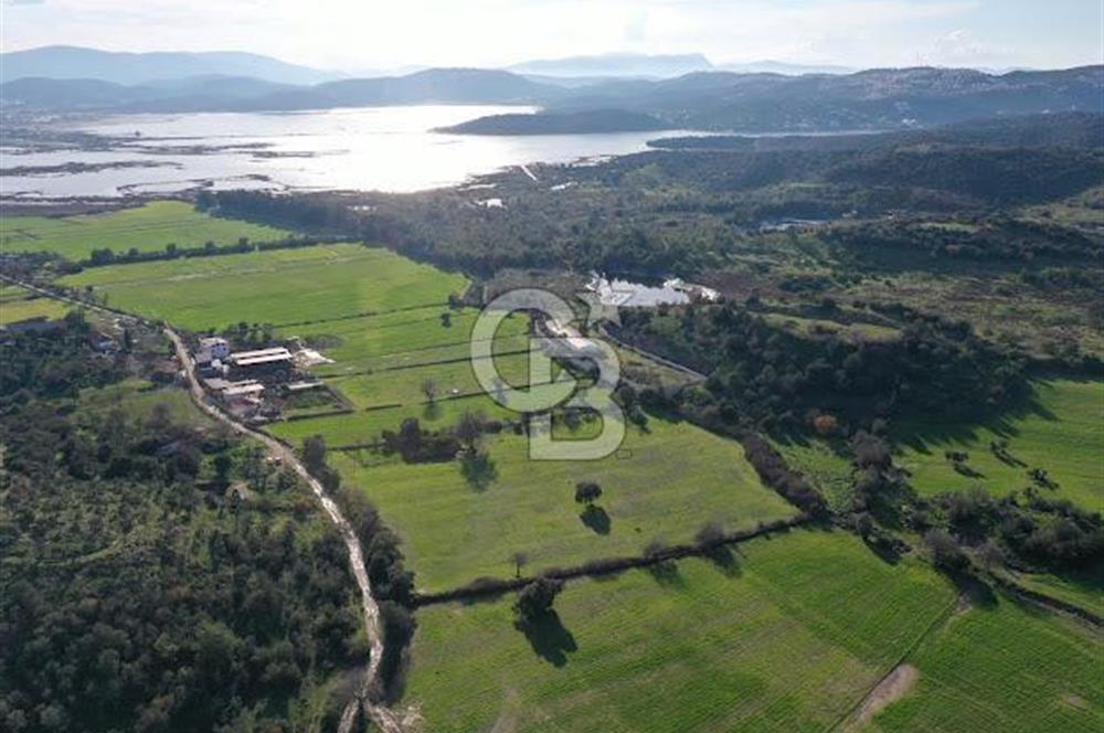 Milas Dörttepe Mevkiinde Yatırımlık Satılık Tarla