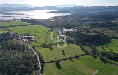 Milas Dörttepe Mevkiinde Yatırımlık Satılık Tarla