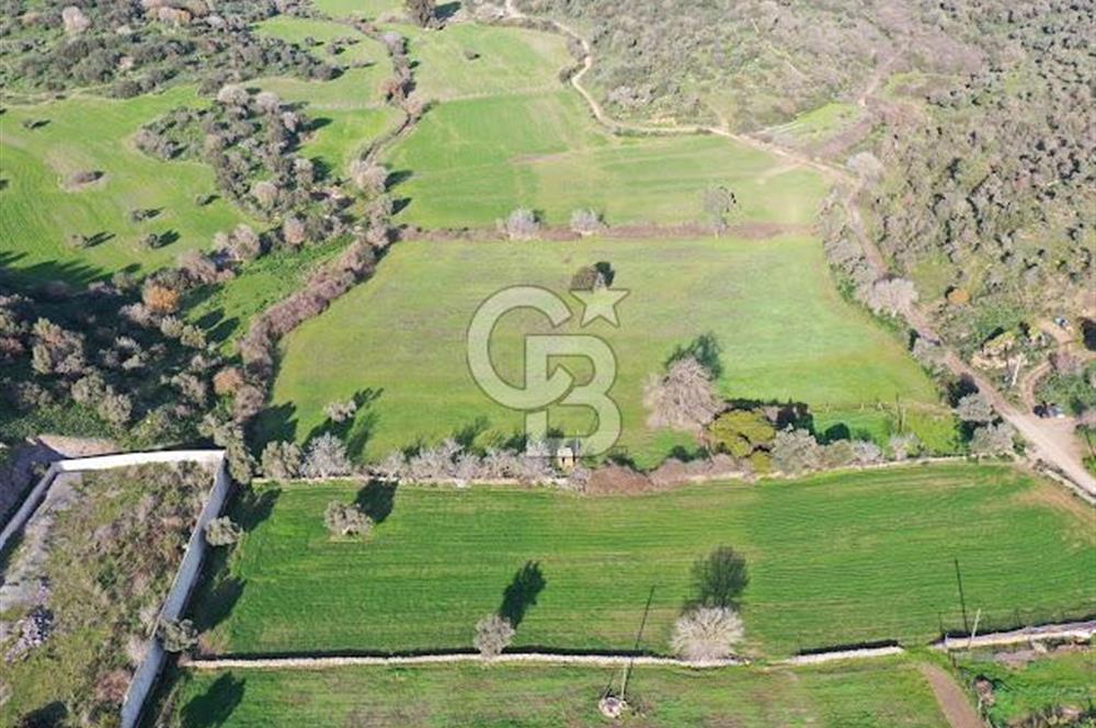 Milas Dörttepe Mevkiinde Yatırımlık Satılık Tarla