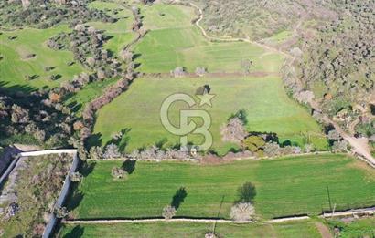 Milas Dörttepe Mevkiinde Yatırımlık Satılık Tarla