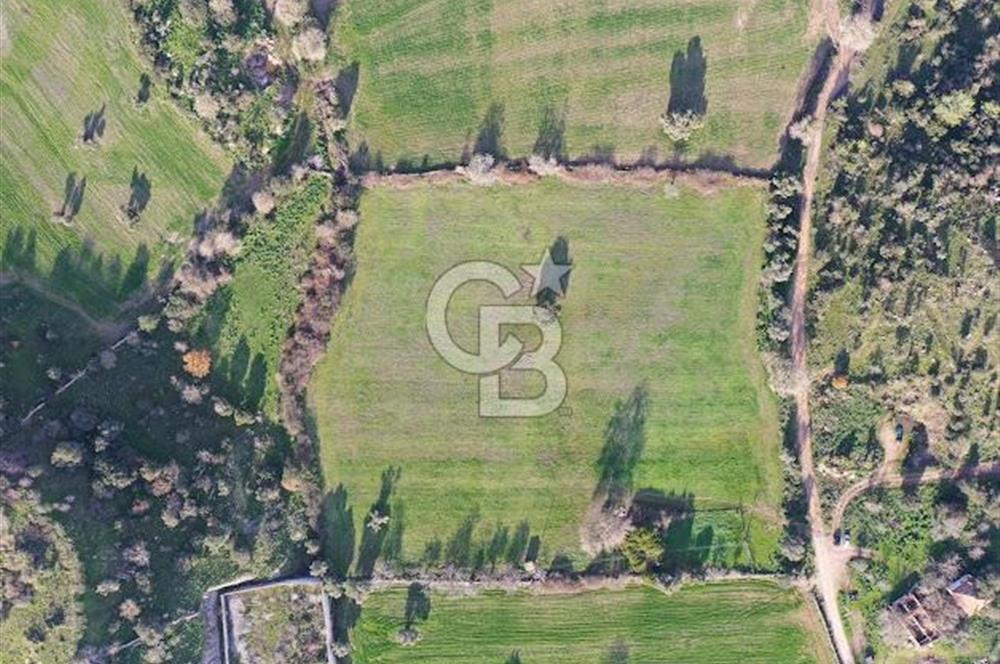 Milas Dörttepe Mevkiinde Yatırımlık Satılık Tarla