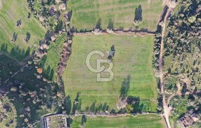 Milas Dörttepe Mevkiinde Yatırımlık Satılık Tarla