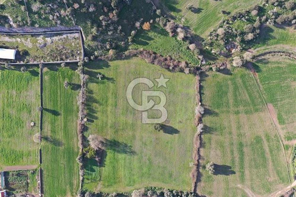 Milas Dörttepe Mevkiinde Yatırımlık Satılık Tarla