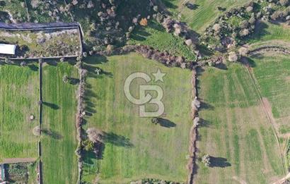 Milas Dörttepe Mevkiinde Yatırımlık Satılık Tarla