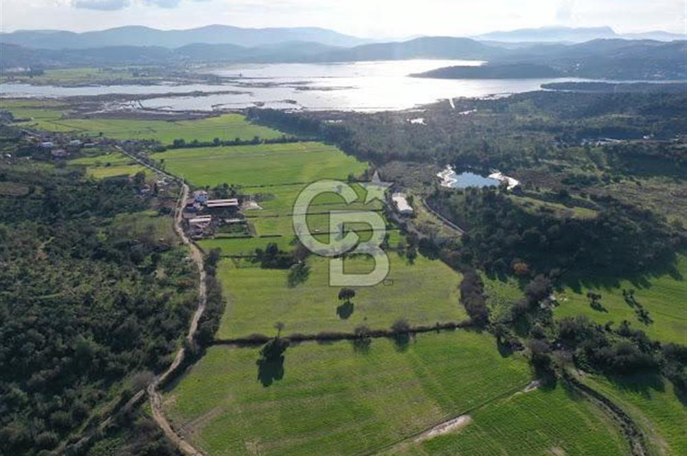 Milas Dörttepe Mevkiinde Yatırımlık Satılık Tarla