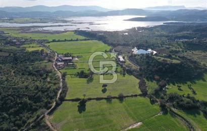 Milas Dörttepe Mevkiinde Yatırımlık Satılık Tarla