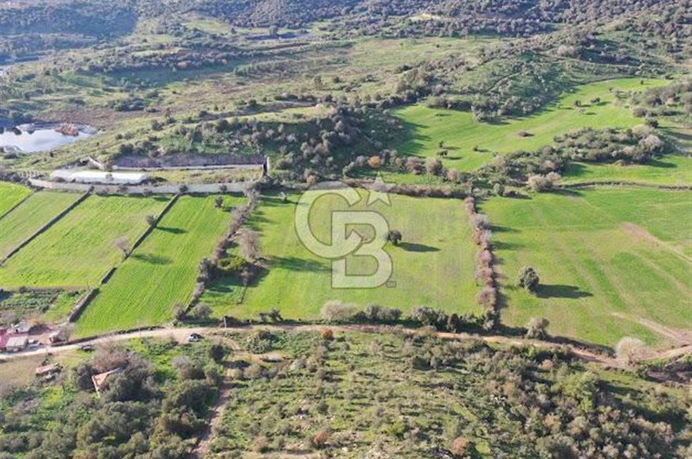 Milas Dörttepe Mevkiinde Yatırımlık Satılık Tarla