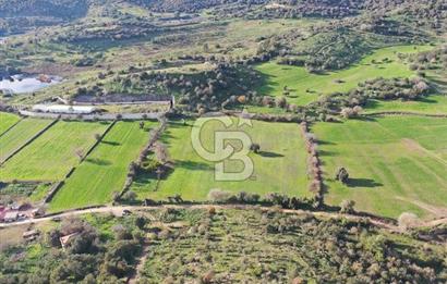 Milas Dörttepe Mevkiinde Yatırımlık Satılık Tarla