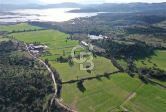 Milas Dörttepe Mevkiinde Yatırımlık Satılık Tarla - 8 - 345685